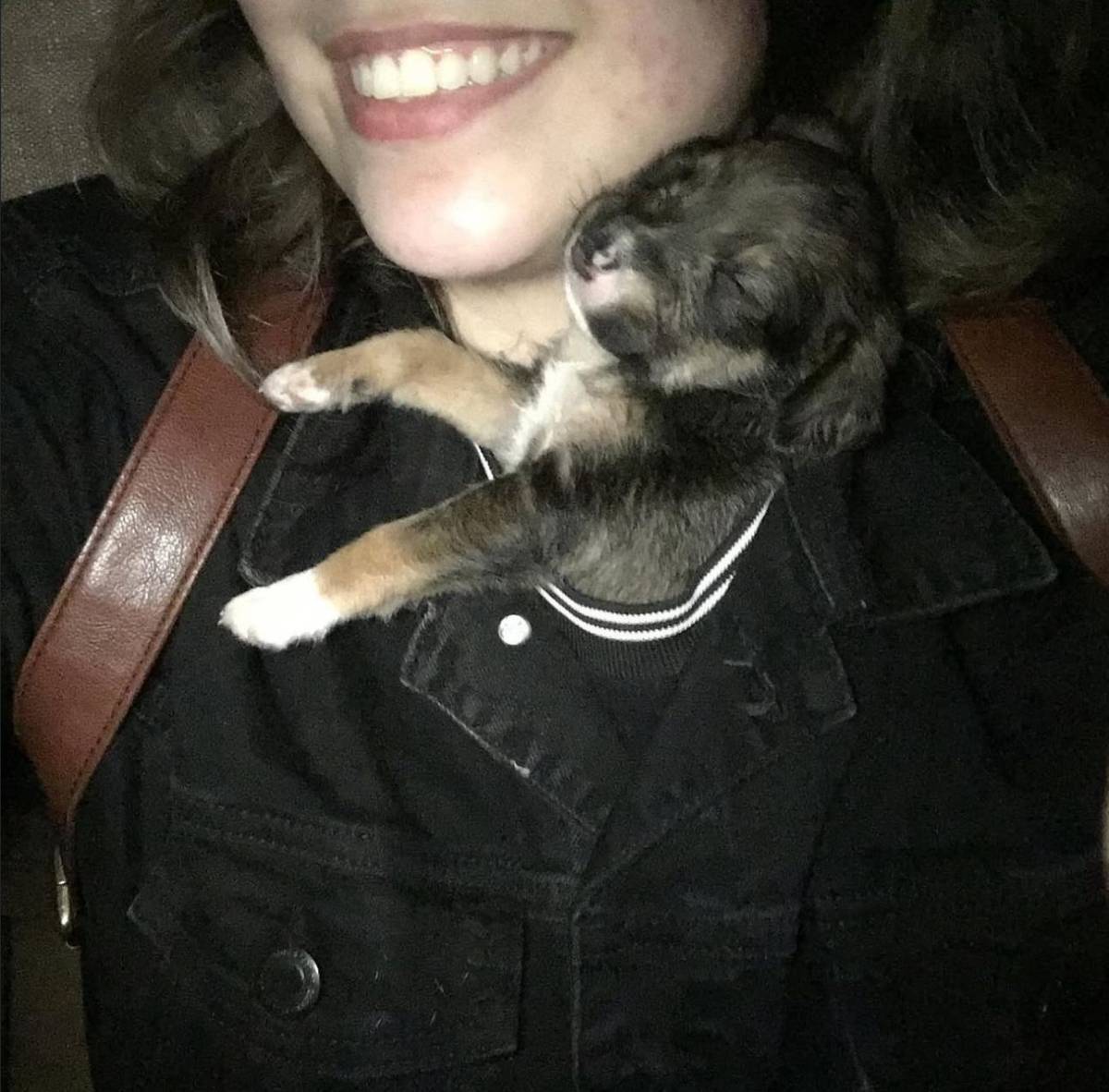 Petsitter na zona do Porto e arredores! =) - Vila do Conde - Hundeausführung