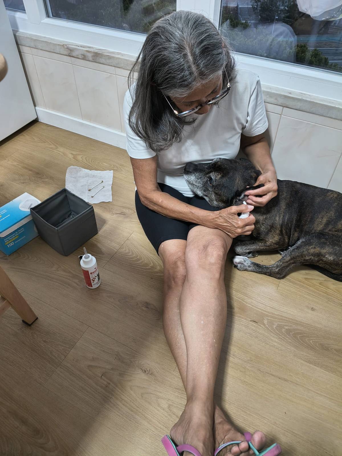 A Avó Cuida - Almada - Pet Sitting