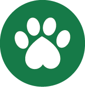 PetCare_Portugal - Lisboa - Cuidados para Animais de Estimação