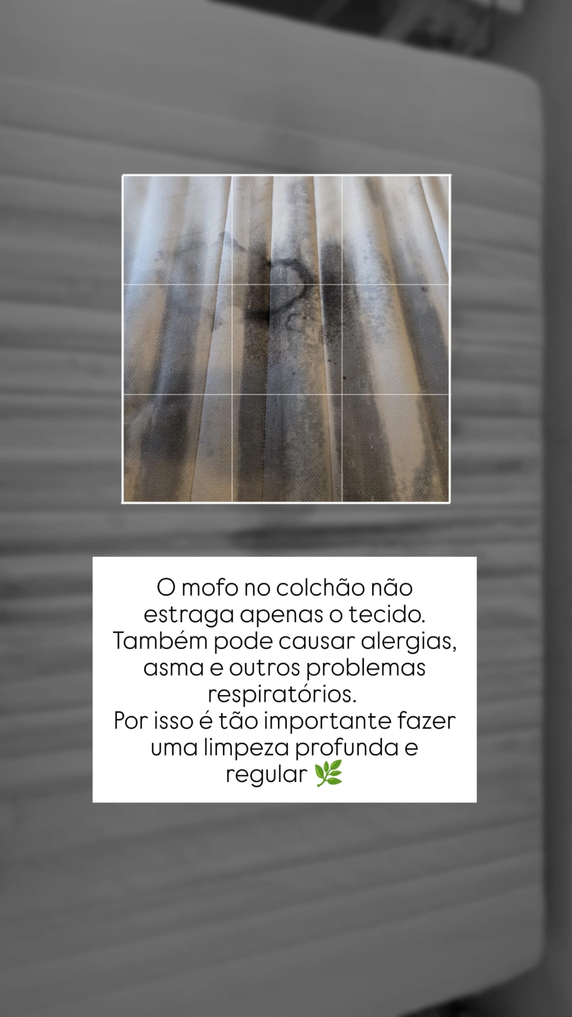 OptiClean - Amadora - Fensterreinigung