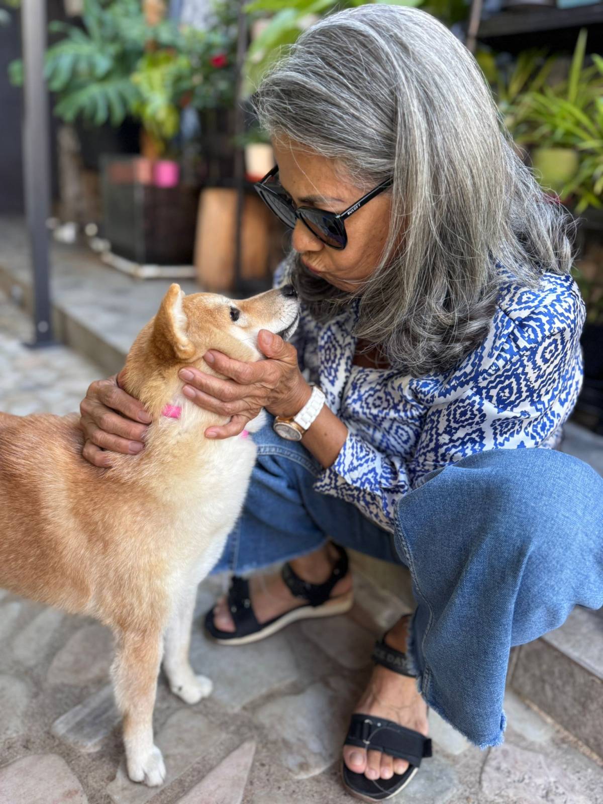 A Avó Cuida - Almada - Hundepension