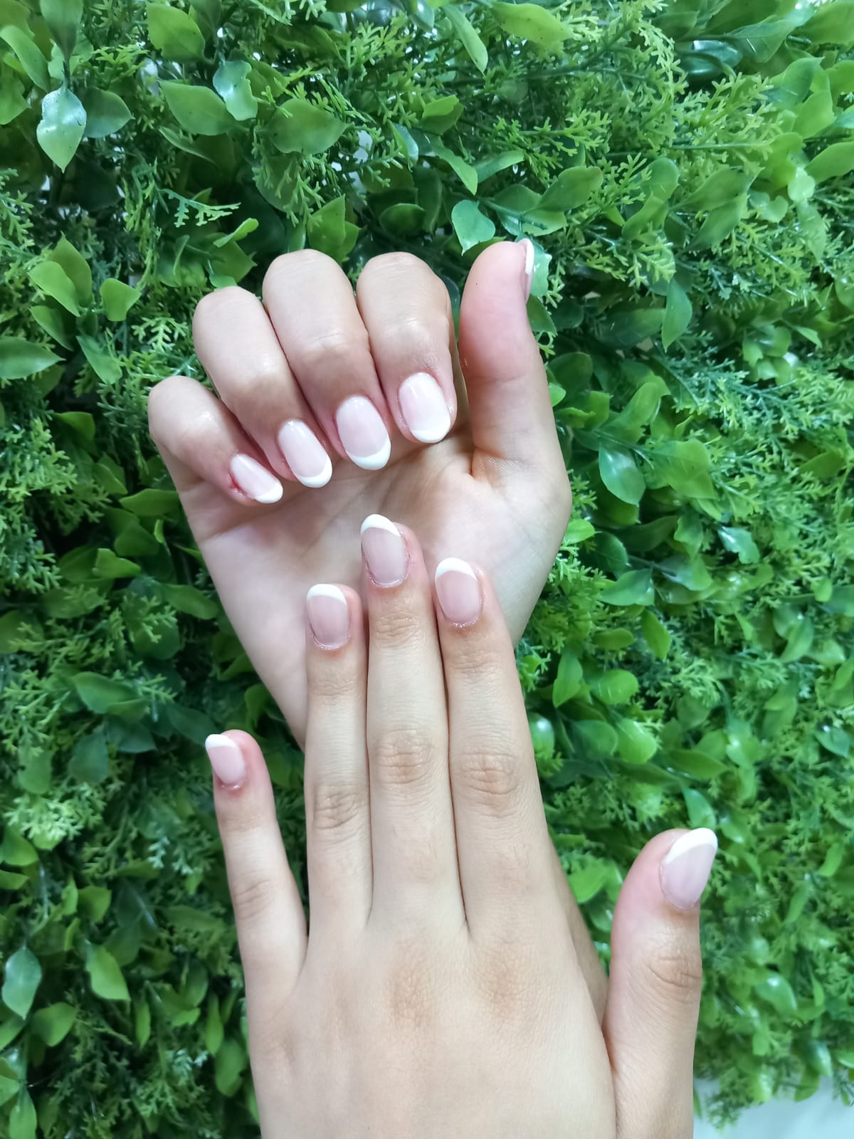Thata Nails Design - Lisboa - Limpeza de Persianas