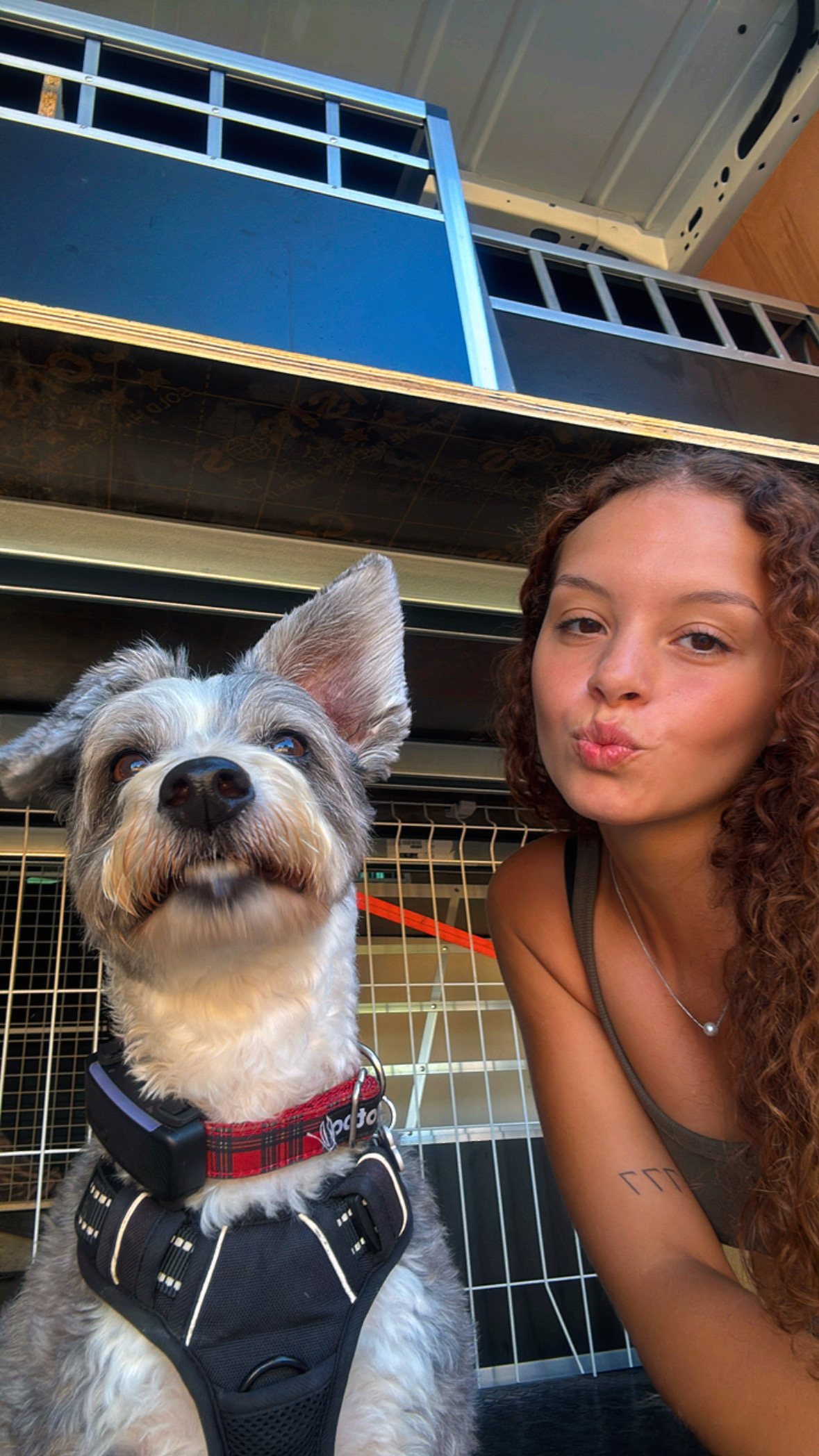 Lara Vieira Pet Sitter - Portimão - Dog Walking