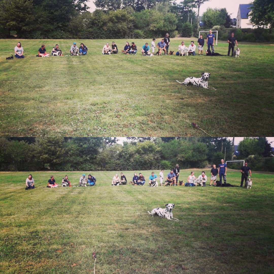 Camille Peloin Dog Training - Escola de cães de Caldas da Rainha e da Região Oeste - Caldas da Rainha - Hundetraining - Privatunterricht