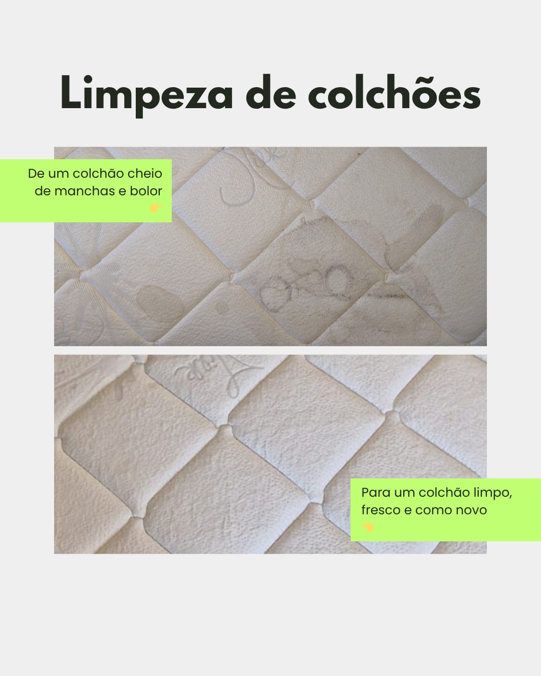 OptiClean - Amadora - Möbel- und Polsterreinigung
