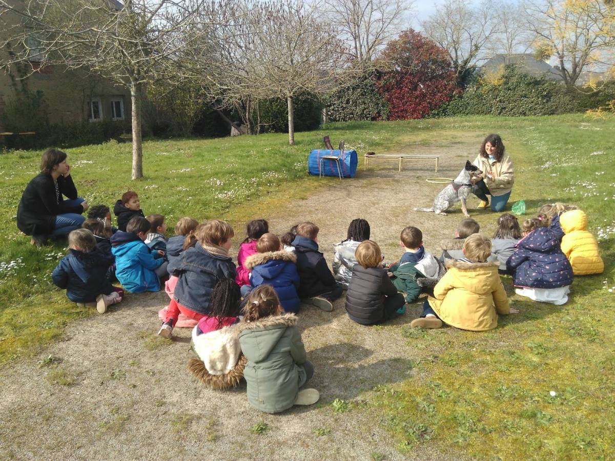 Camille Peloin Dog Training - Escola de cães de Caldas da Rainha e da Região Oeste - Caldas da Rainha - Verhaltensänderung beim Tier