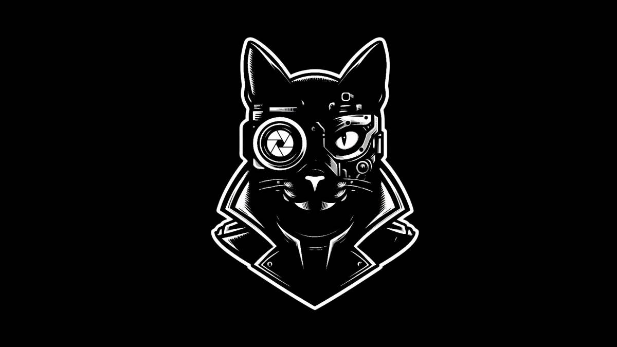Black Cat Films - Bragança - Werbefilm