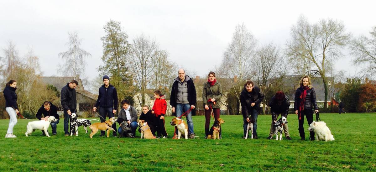 Camille Peloin Dog Training - Escola de cães de Caldas da Rainha e da Região Oeste - Caldas da Rainha - Hundetraining - Privatunterricht