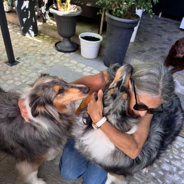 A Avó Cuida - Almada - Hundeausführung