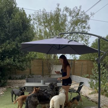 Lara Vieira Pet Sitter - Portimão - Dog Sitting