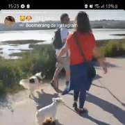 João Pinto - Faro - Dog Walking