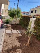 Artificial Turf Specialist