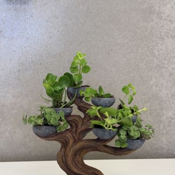 Vértice Arte 3D - Almada - Typografie