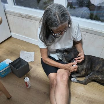 A Avó Cuida - Almada - Pet Sitting