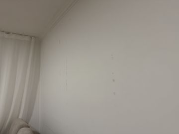 Pintor de Casas - Casa