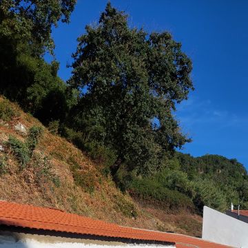 Vitor Cunha - Sintra - Remodelação de Cozinhas