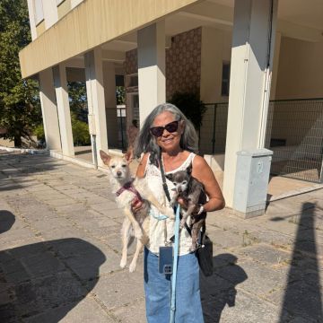 A Avó Cuida - Almada - Hundesitter