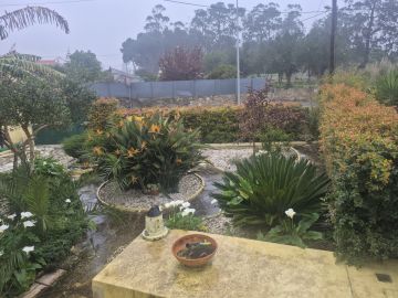 Serviço de Jardinagem