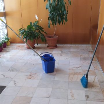 MOPPERS - Seixal - Property Cleanup