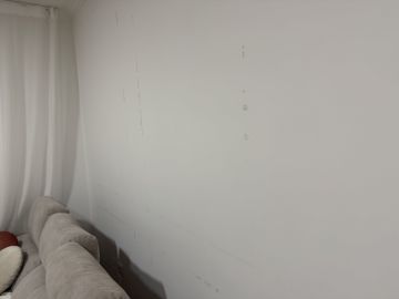 Pintura