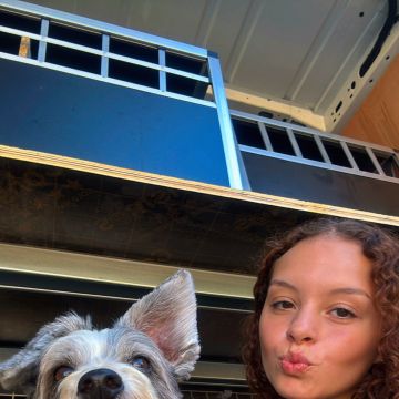 Lara Vieira Pet Sitter - Portimão - Dog Walking