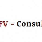 LFV - Consultoria, Contabilidade e Gestão - Lisboa - Preparação de Declarações de Impostos de Empresas