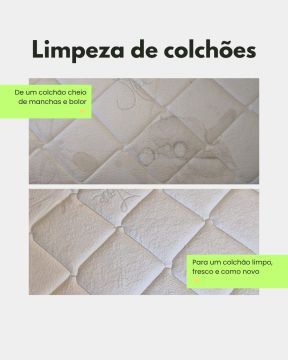 OptiClean - Amadora - Möbel- und Polsterreinigung