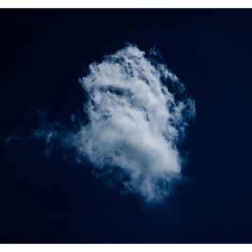 Mauroft8 - Braga - Fotografia de Bebés