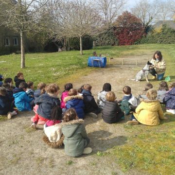 Camille Peloin Dog Training - Escola de cães de Caldas da Rainha e da Região Oeste - Caldas da Rainha - Verhaltensänderung beim Tier