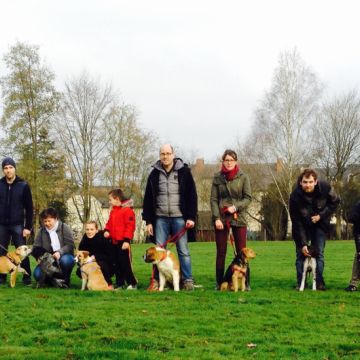 Camille Peloin Dog Training - Escola de cães de Caldas da Rainha e da Região Oeste - Caldas da Rainha - Hundetraining - Privatunterricht