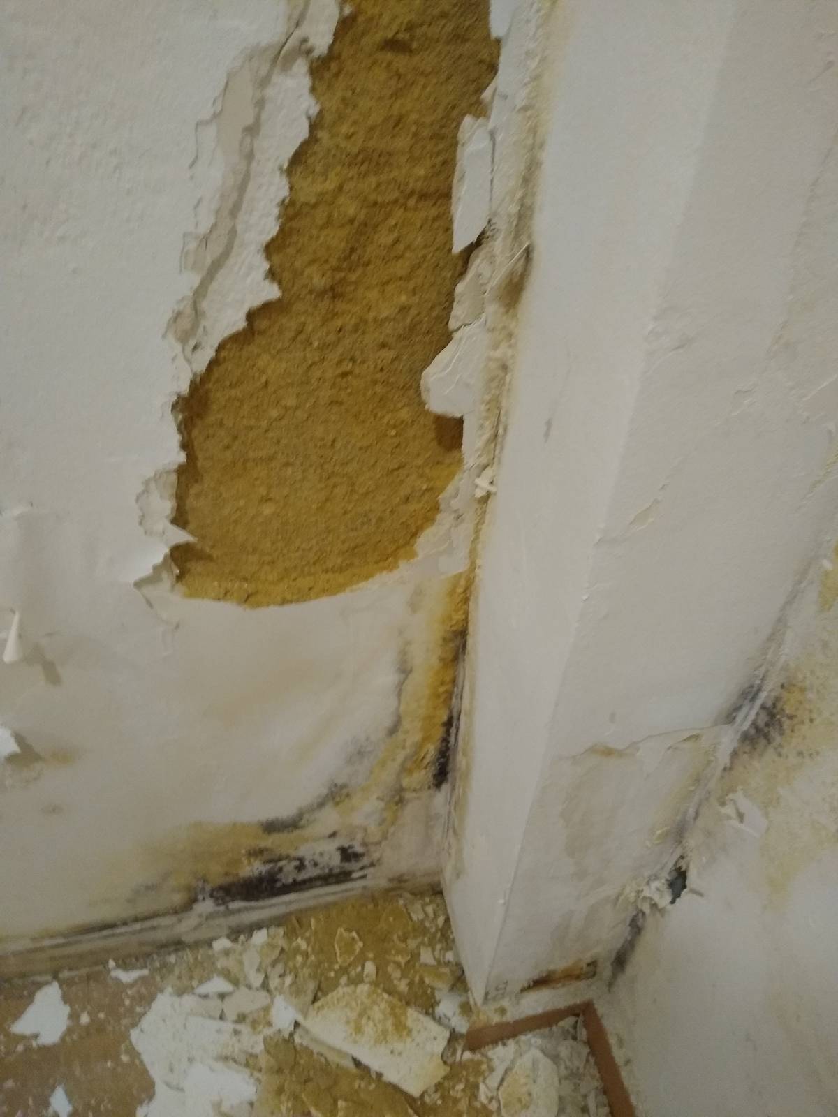 Scapinello Remodelação e construções - Seixal - Instalação de Pavimento Vinílico ou Linóleo