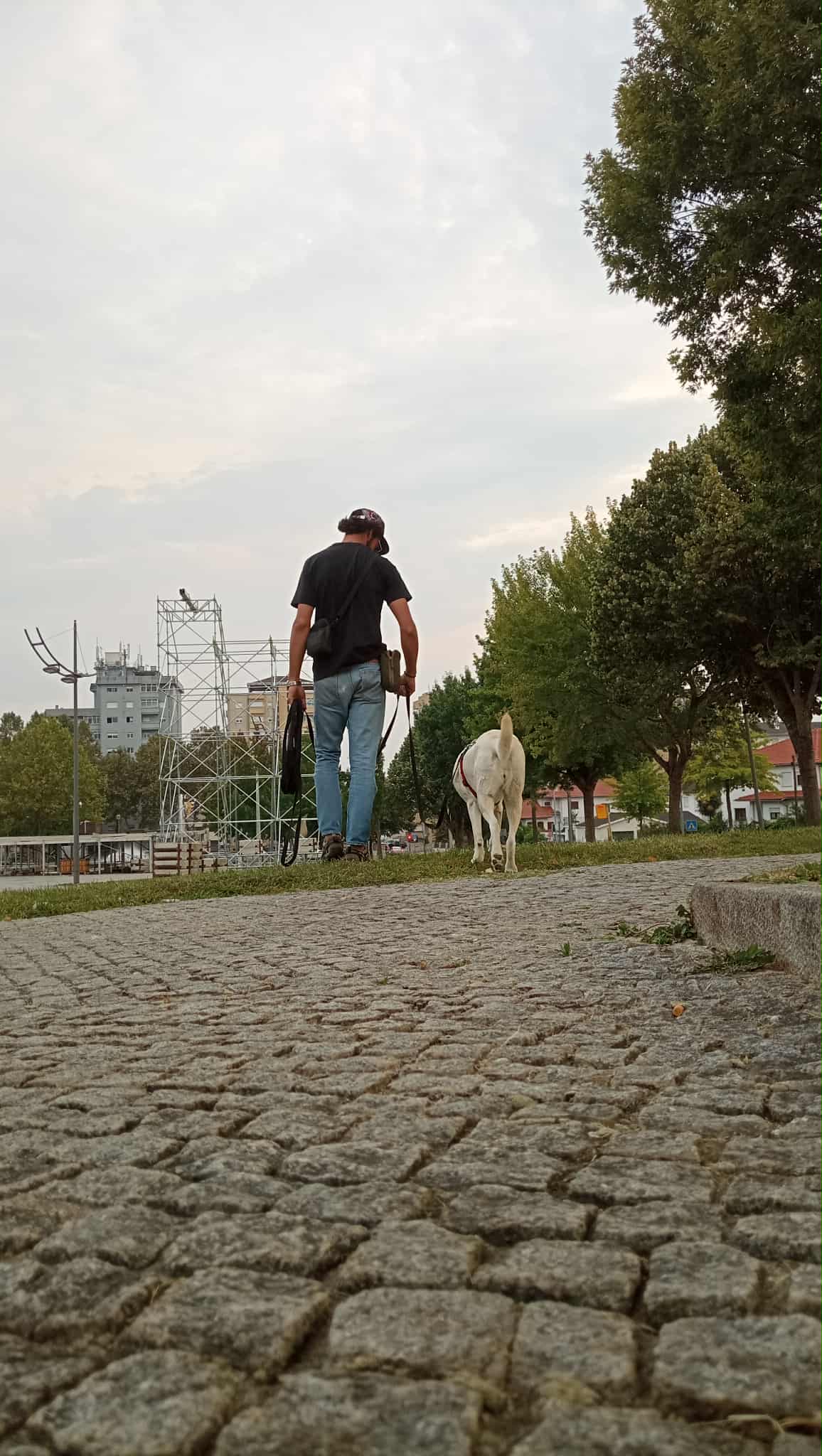 Ricardo Neves - Bragança - Spirituelle Beratung