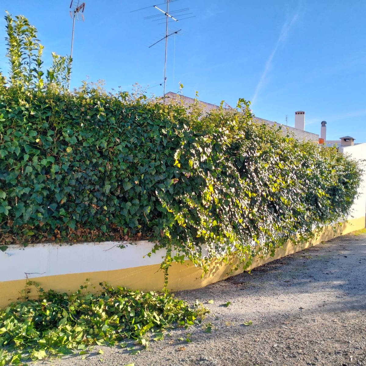 Quintais Limpos - Évora - Quitanieves (Residencial)