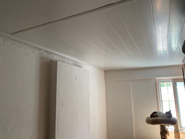 MSCASTRO-Remodelações Unipessoal, Lda - Vila Franca de Xira - Küche sanieren