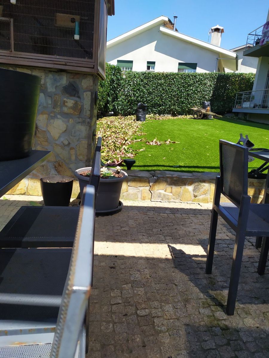 Paulo pires - Penafiel - Lawn Mowing and Trimming