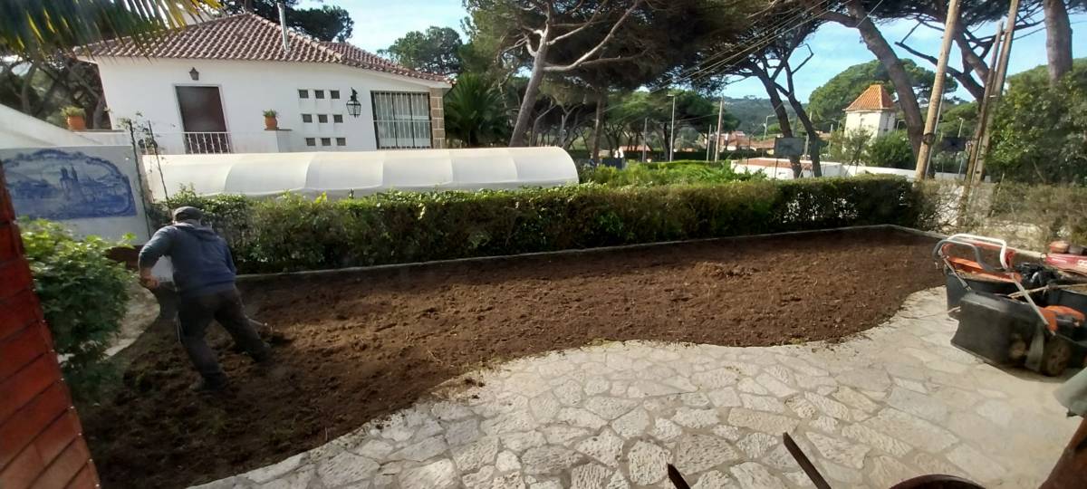 Gardening - Lawncare