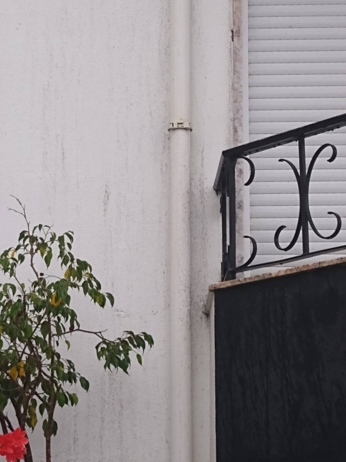 Scapinello Remodelação e construções - Seixal - Construção de Casa Nova