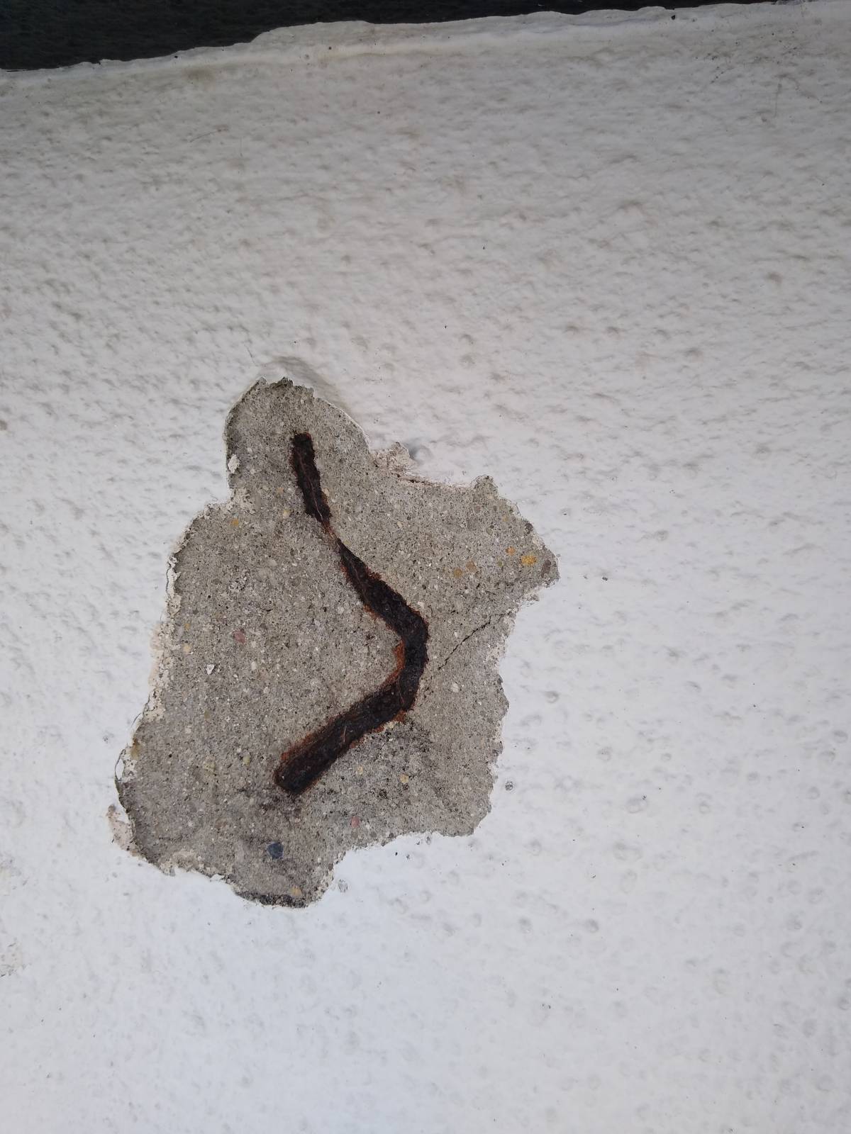 Scapinello Remodelação e construções - Seixal - Reparação ou Substituição de Pavimento Vinílico ou Linóleo
