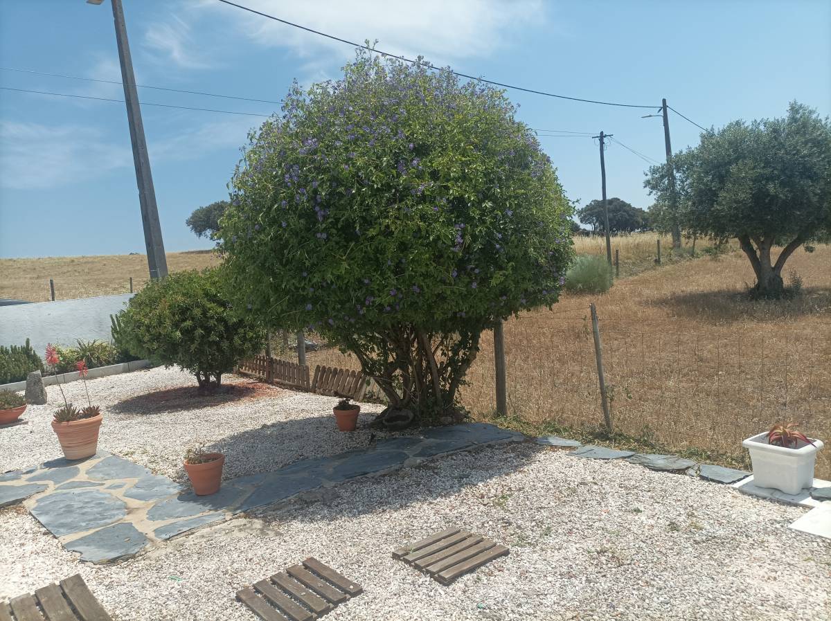 Quintais Limpos - Évora - Instalación de césped artificial