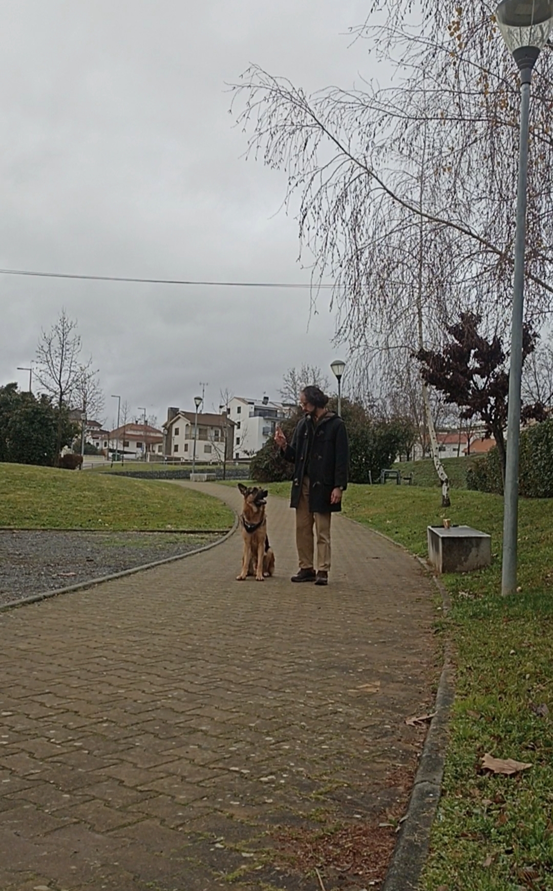 Ricardo Neves - Bragança - Dog Walking