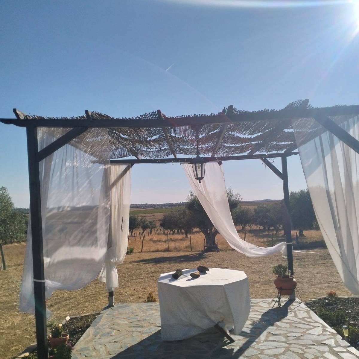 Quintais Limpos - Évora - Trituración y eliminación de tocones