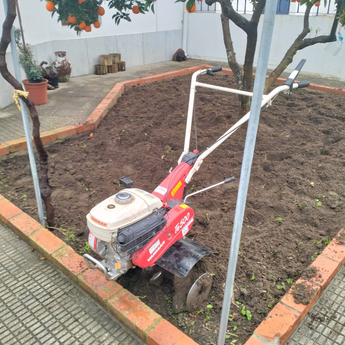 Quintais Limpos - Évora - Jardinería