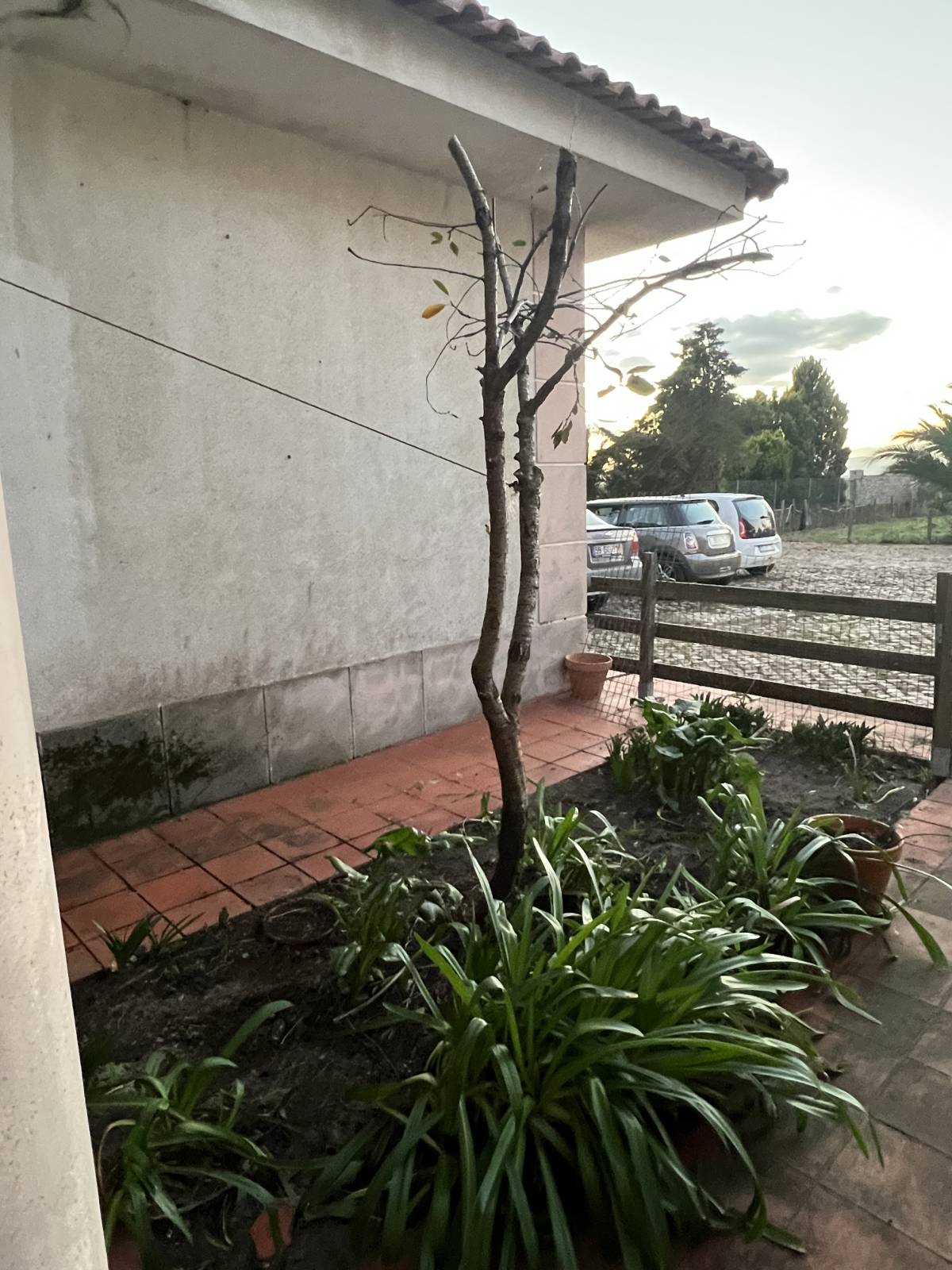 Land clearance specialist