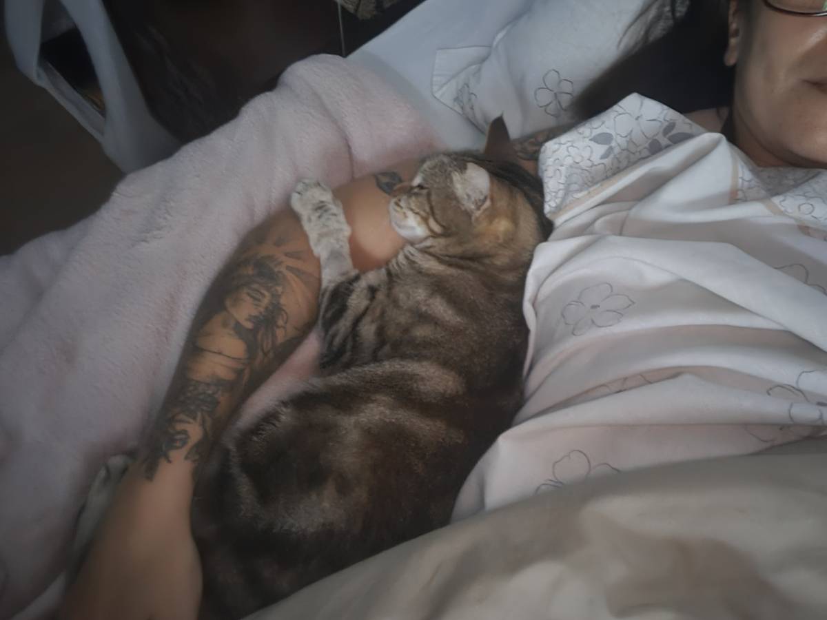 Sara Santos - Concierge Animal - Seixal - Pet Sitting