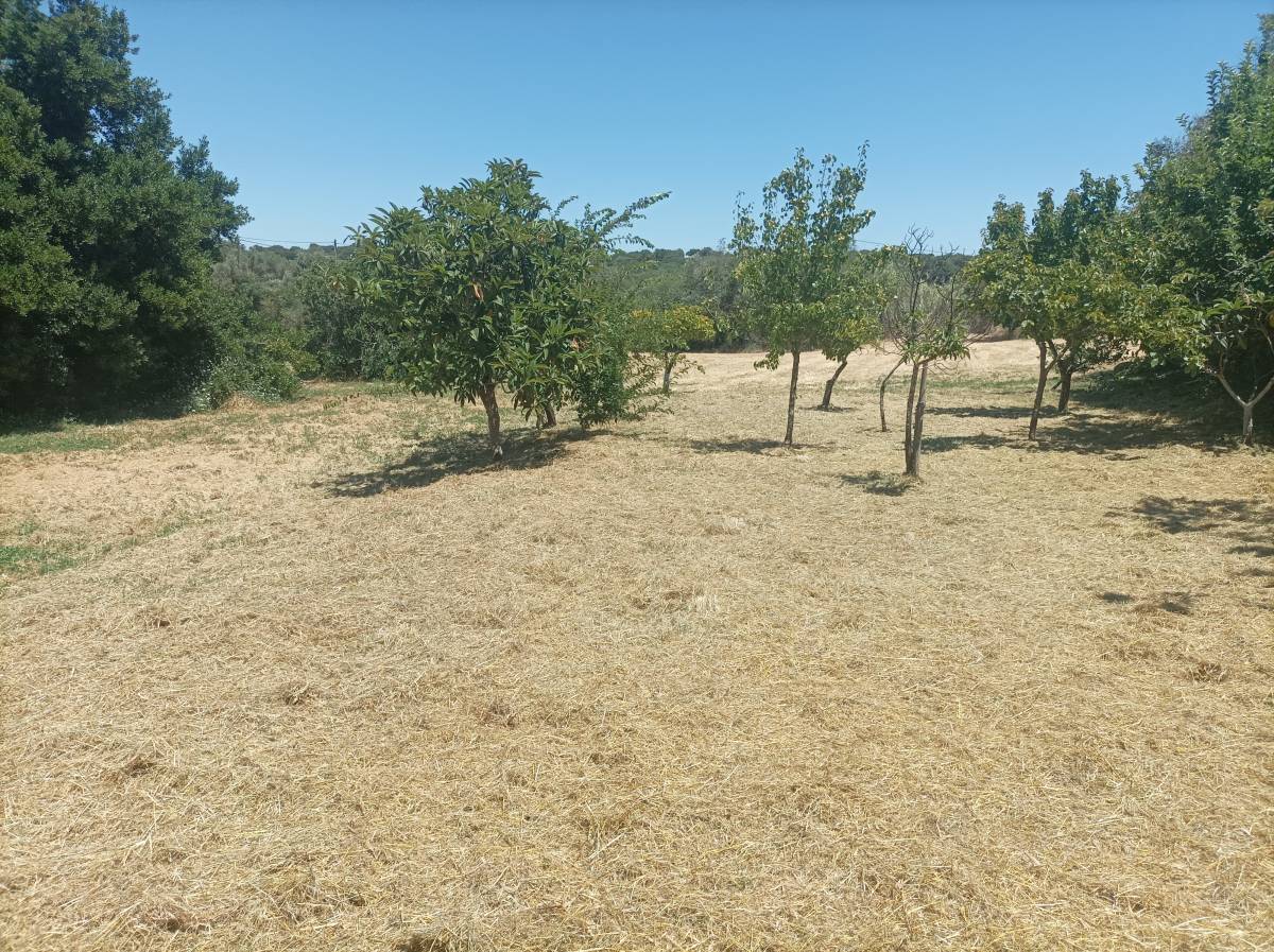 Quintais Limpos - Évora - Instalación de sistemas de aspersores