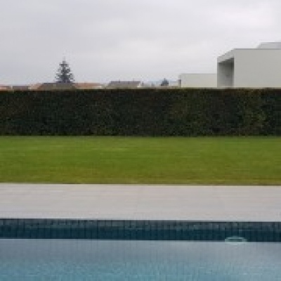 José Roberto Cordeiro Jardinagem - Sintra - Cortar y podar el césped