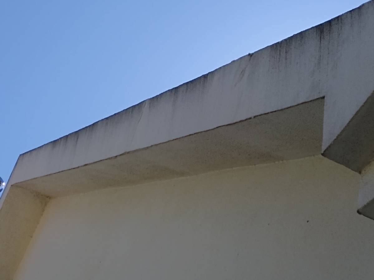 Scapinello Remodelação e construções - Seixal - Reparação de Porta
