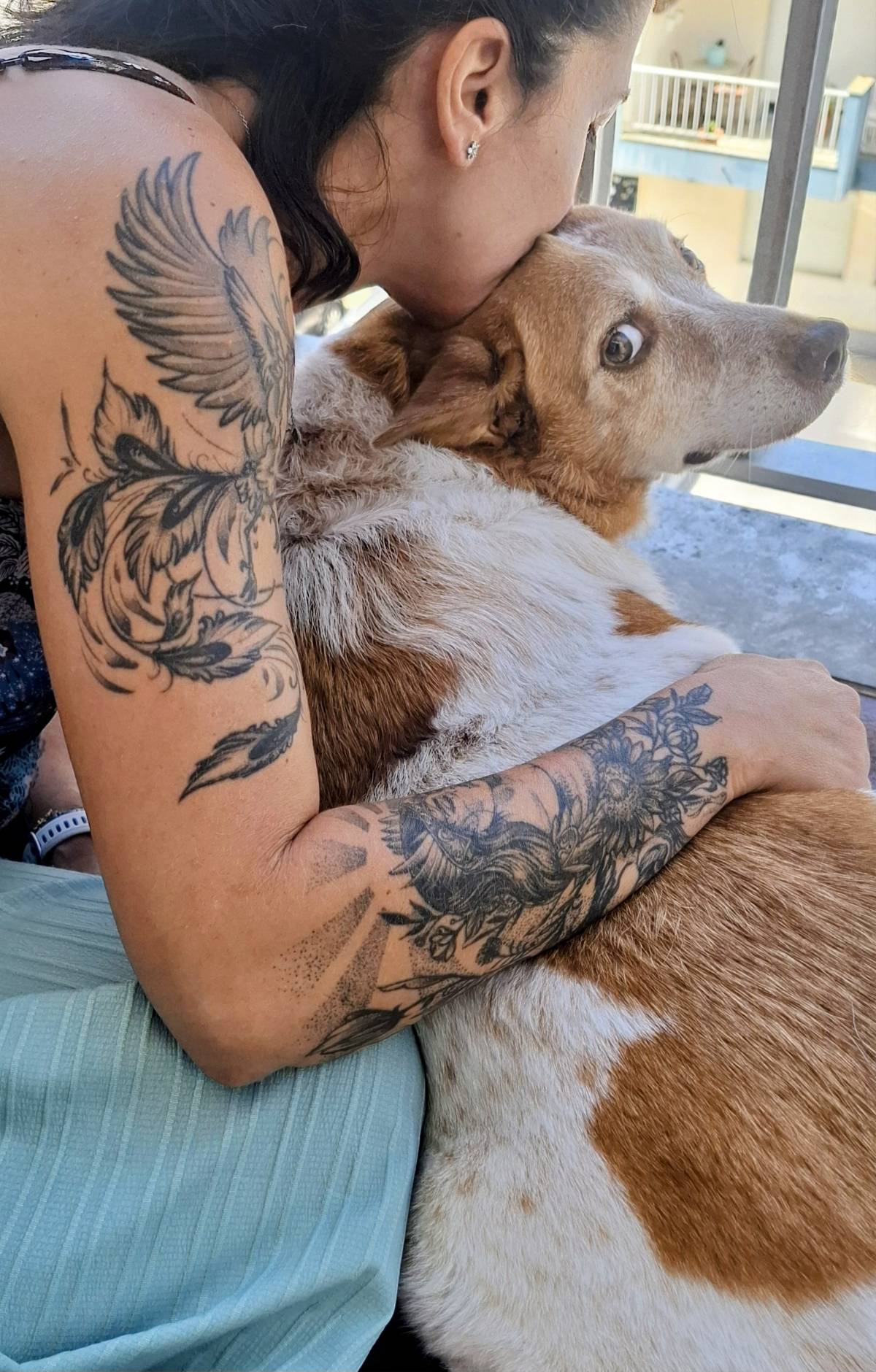 Sara Santos - Concierge Animal - Seixal - Katzensitter