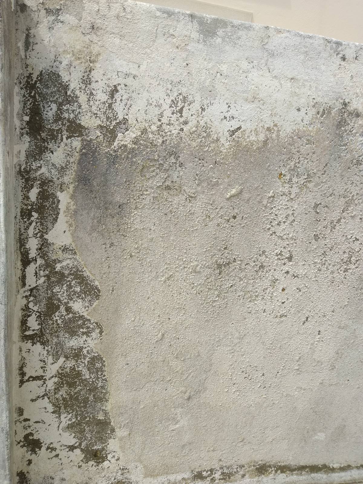 Scapinello Remodelação e construções - Seixal - Aplicação de Estuque