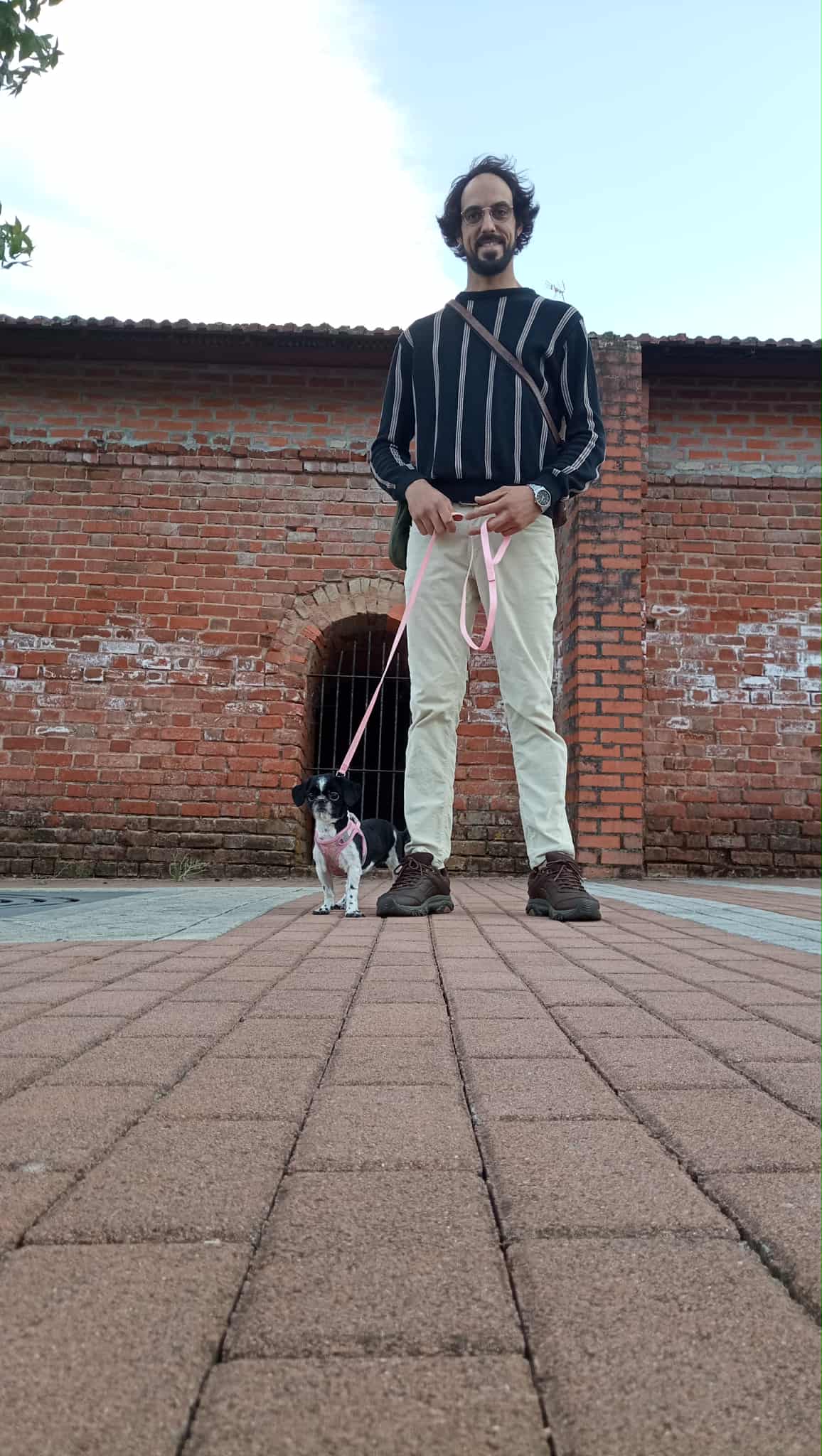 Ricardo Neves - Bragança - Hundesitter